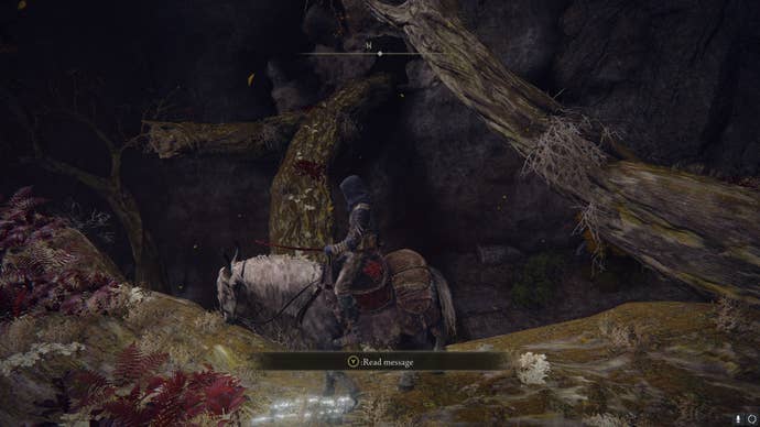 The player stands on some branches and faces the entrance to a cave in Deeproot Depths in Elden Ring