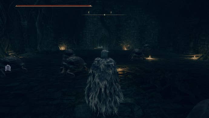 The player stands in a room full of turtles at Summonwater Village in Elden Ring