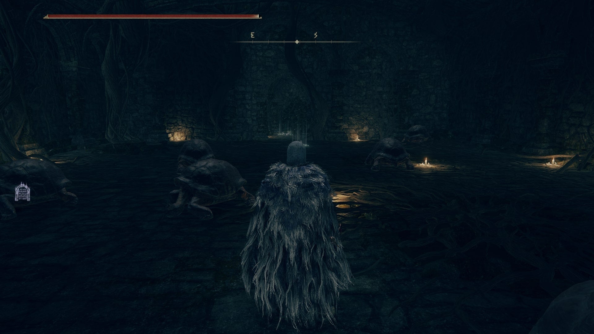 The player stands in a room full of turtles at Summonwater Village in Elden Ring - 1