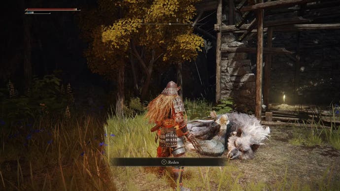 The main character in Elden Ring armor looking at Latenna sitting on the ground, curled up with a wolf.