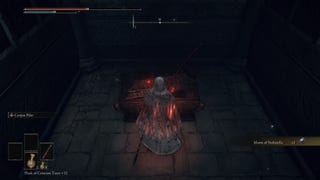 The player faces the chest containing the Moon of Nokstella in Elden Ring