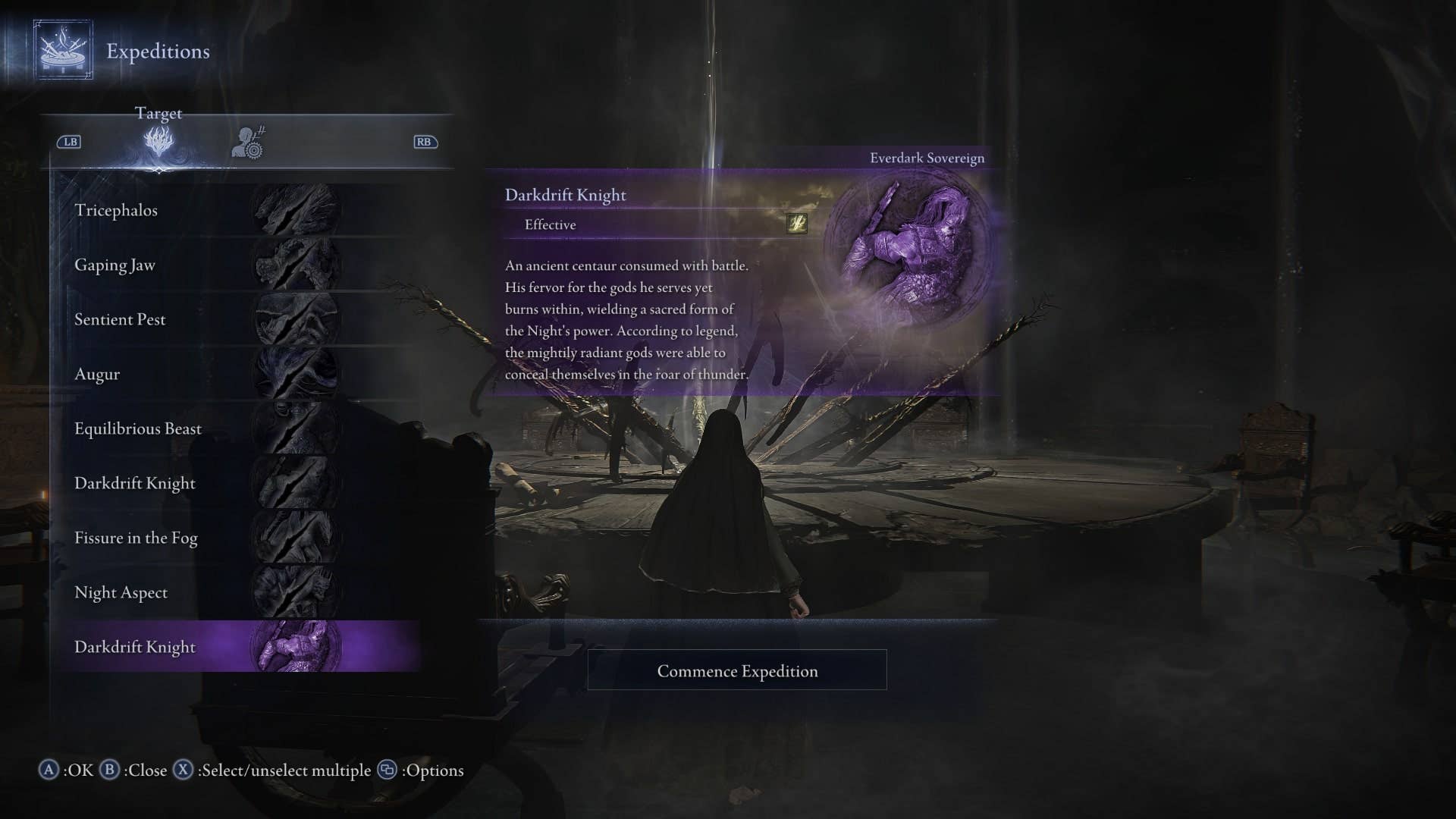 ผู้เล่น Ironeye ช่วย Knight Strendercark Sweetmighift ในรายการเป้าหมายการจัดส่งใน Andada Ring Nighter