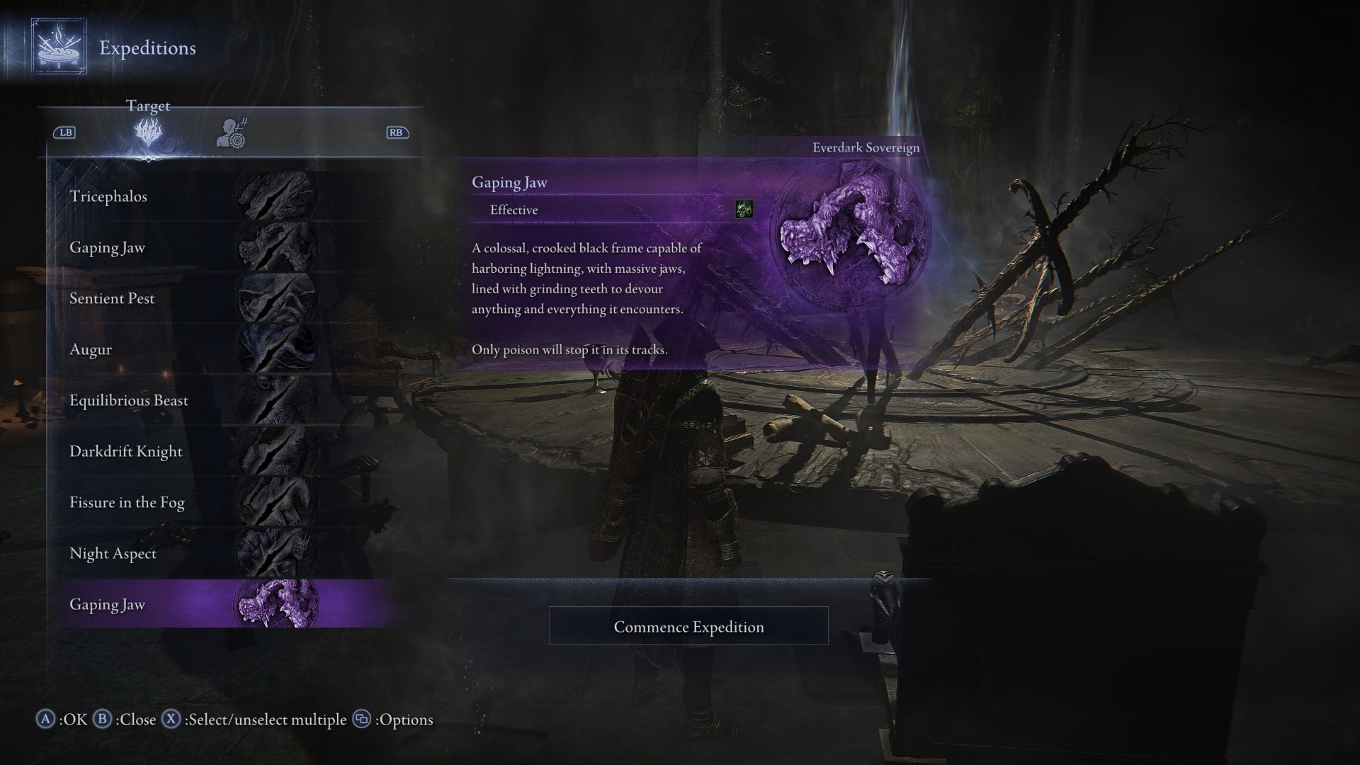 The player hovers over the Everdark Sovereign Gaping Jaws Expedition in Elden Ring Nightreign - 3