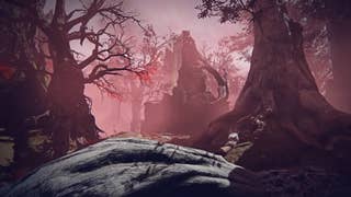 The Rotted Woods can be seen in the Bring Me To Life trailer for Elden Ring Nightreign