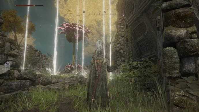 Armoured character in Elden Ring looking at a large plant enemy in the distance of the Waypoint Ruins.