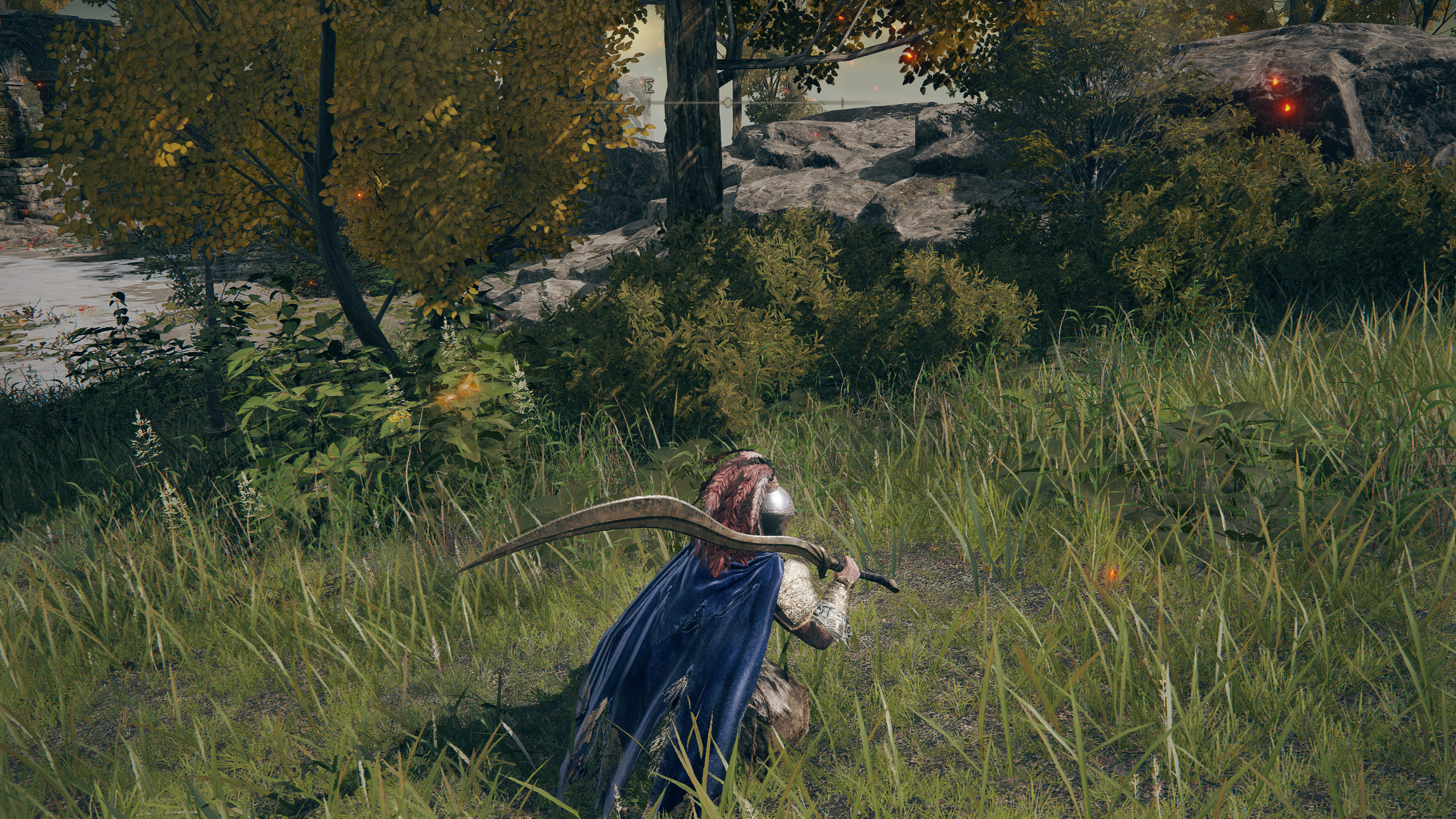 Crouching near some bushes in Elden Ring, with ray tracing effects off.