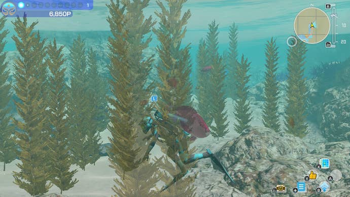 A diver swims through fronds of underwater plants in Endless Ocean Luminous