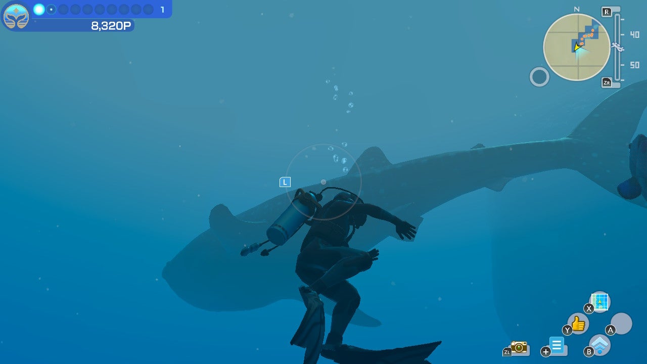 Endless Ocean Luminous isn't very good and I sort of love it - Vimarsana News