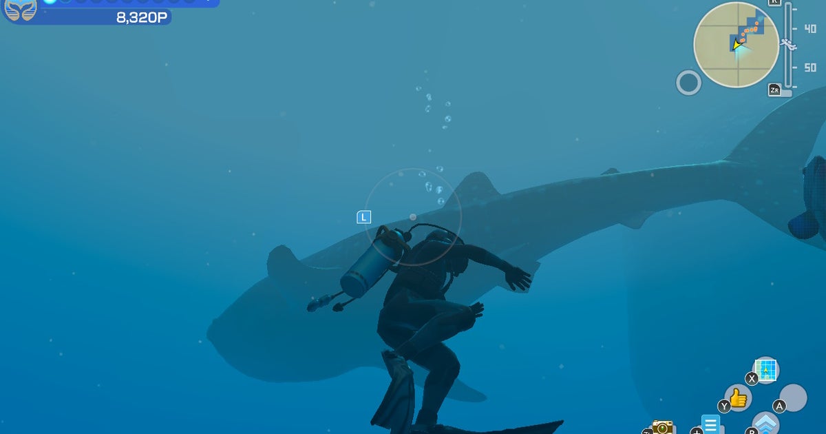 Endless Ocean Luminous non è molto bello e in un certo senso mi piace Endless Ocean Luminous non è molto bello e in un certo senso mi piace