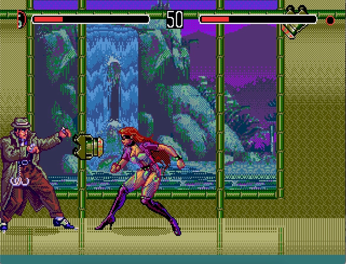 Eternal Champions screenshot - two heroes battle in front of a window showing a waterfall.