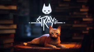 Stray chega em julho e estreará no PS Plus Extra e Premium