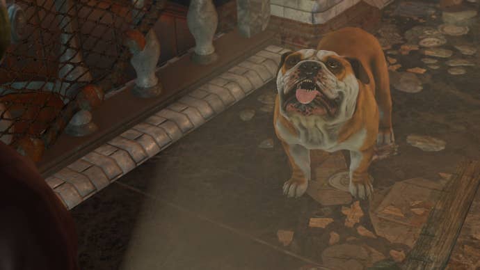 The player looks at dog companion, Churchill, in Fallout 4 mod, Fallout: London