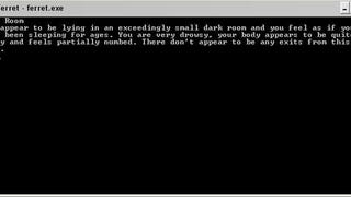 Ferret is a text adventure started in 1982 that only completed development in 2022.