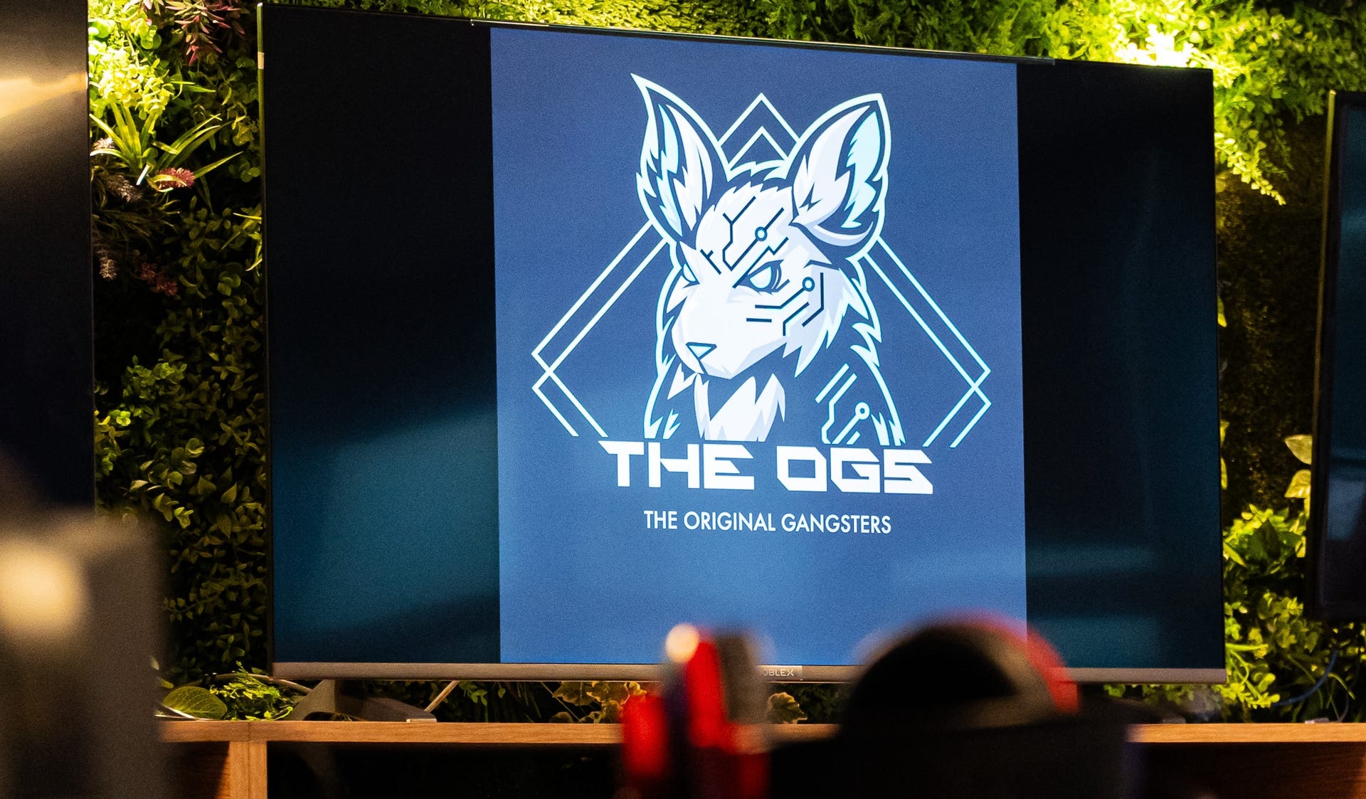 3OGS rebrands as The Original Gangsters, expands into new office ...