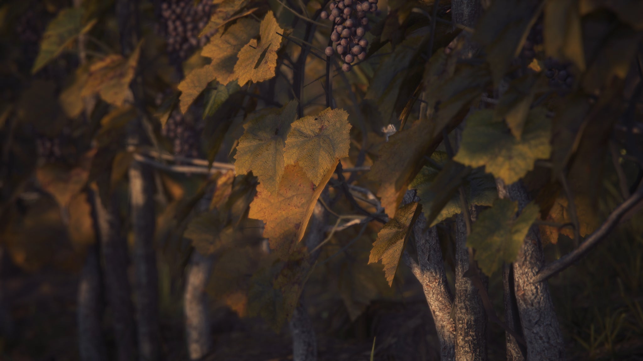 Grapes in Final Fantasy 16 - 4