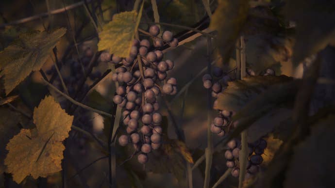 Grapes in Final Fantasy 16