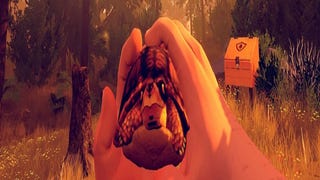 Firewatch - How to Find a Turtle Pet