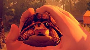 Firewatch - How to Find a Turtle Pet