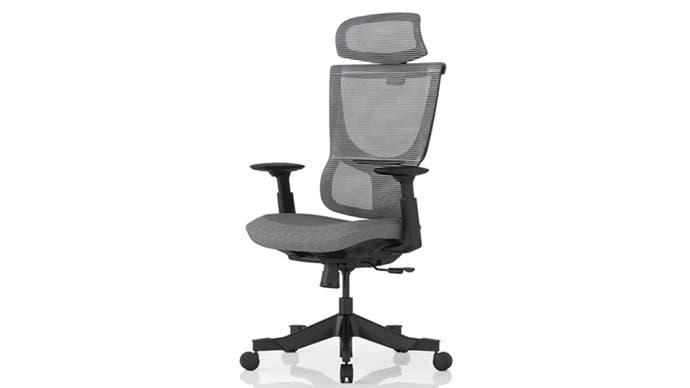 Flexispot BS8 office chair