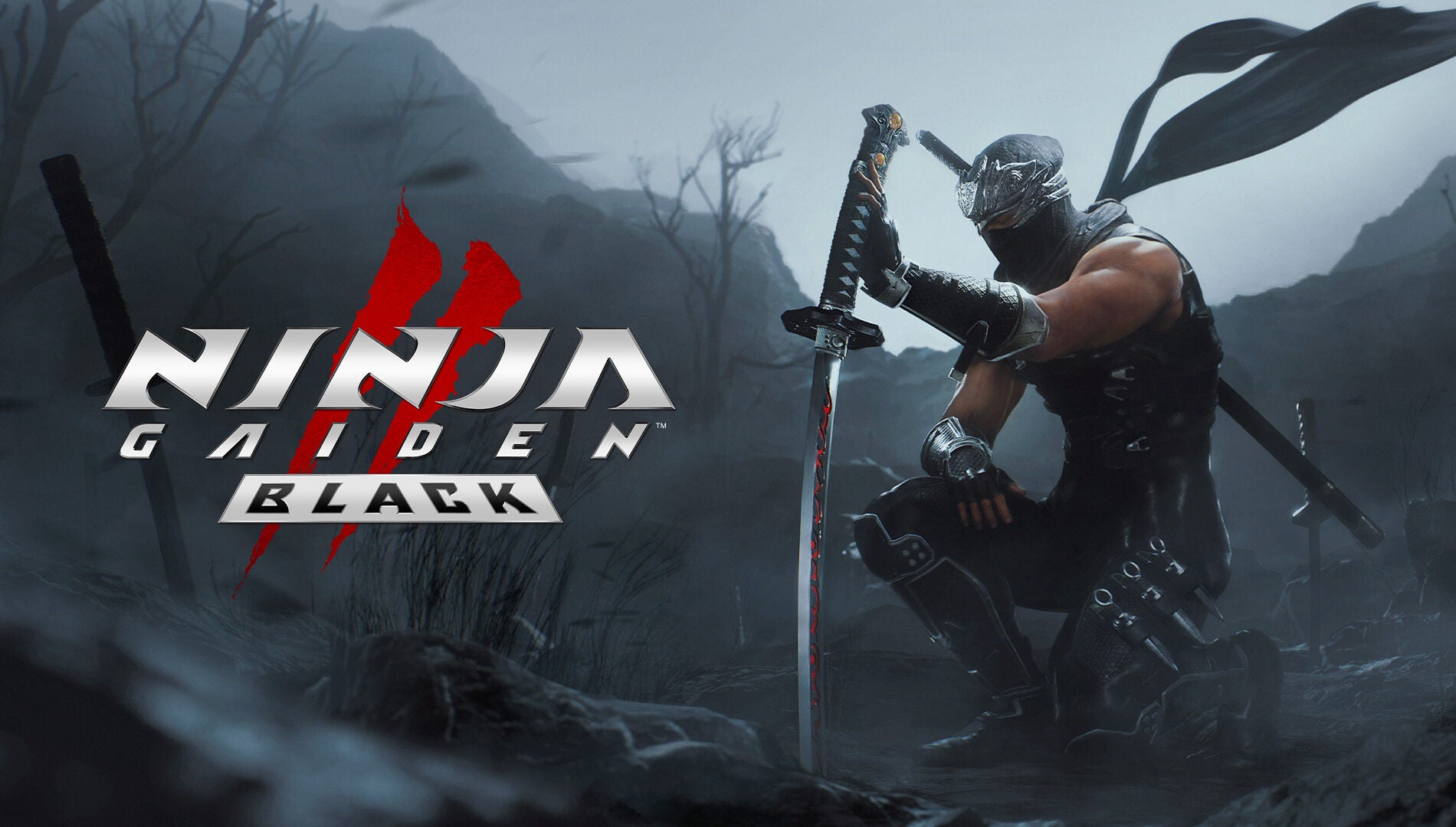 Ryu, ninja hero of Ninja Gaiden, kneeling with his sword stuck into the ground near the logo for Ninja Gaiden 2 Black - 1