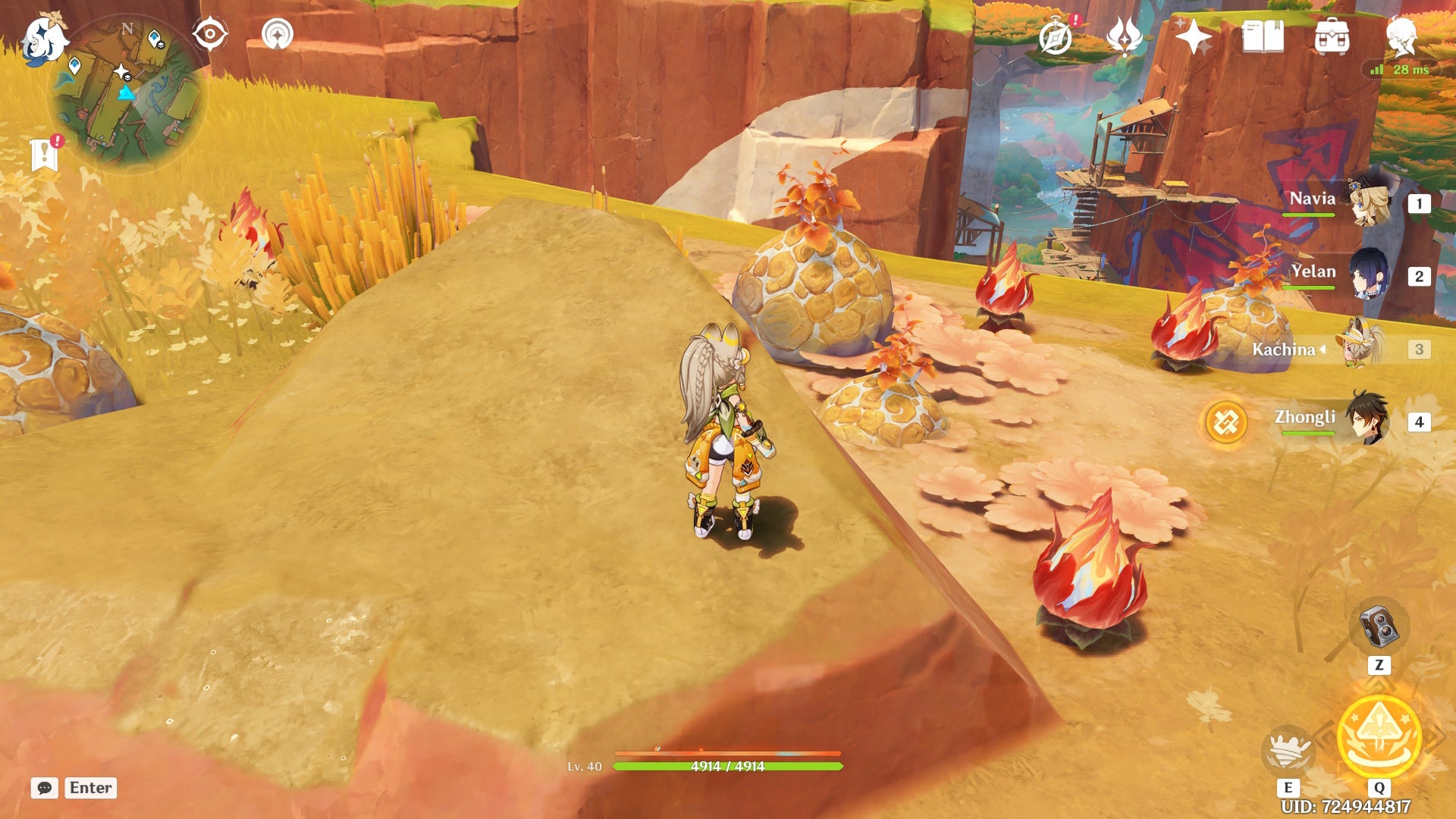 Kachina standing on a small hill looking down at unbloomed Embercore Flowers in Genshin Impact.