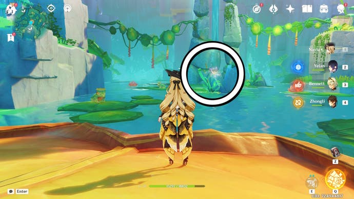 A white circle showing the location of a floating Jubilant Feather in Genshin Impact.