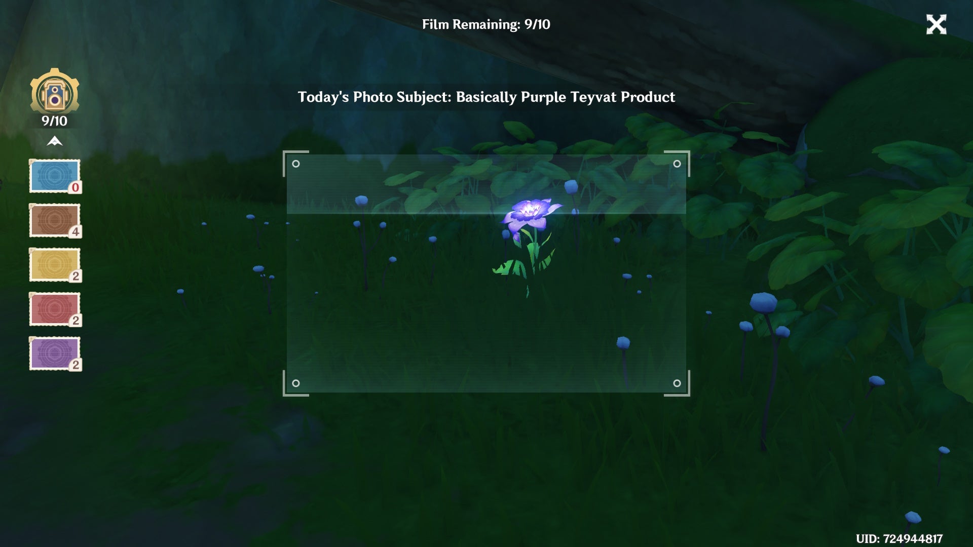 kamera view of a sumeru rose on a grassy floor with different sample colours displayed on the left