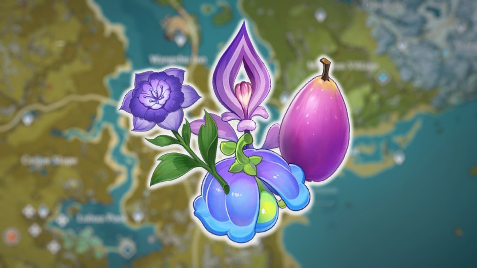blurred teyvat map in the background with images of naku weed, sumeru rose, lumindose bell, and lavender melon on top of it
