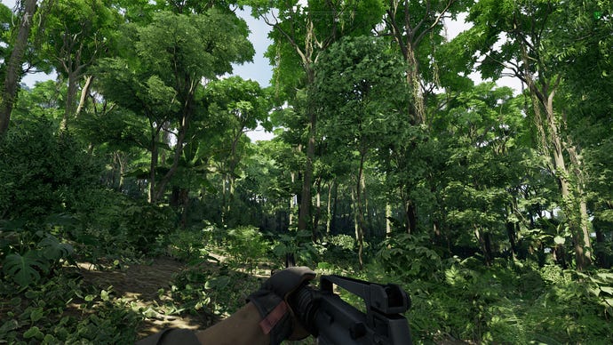 A lush, and at least for now peaceful, jungle in Gray Zone Warfare.