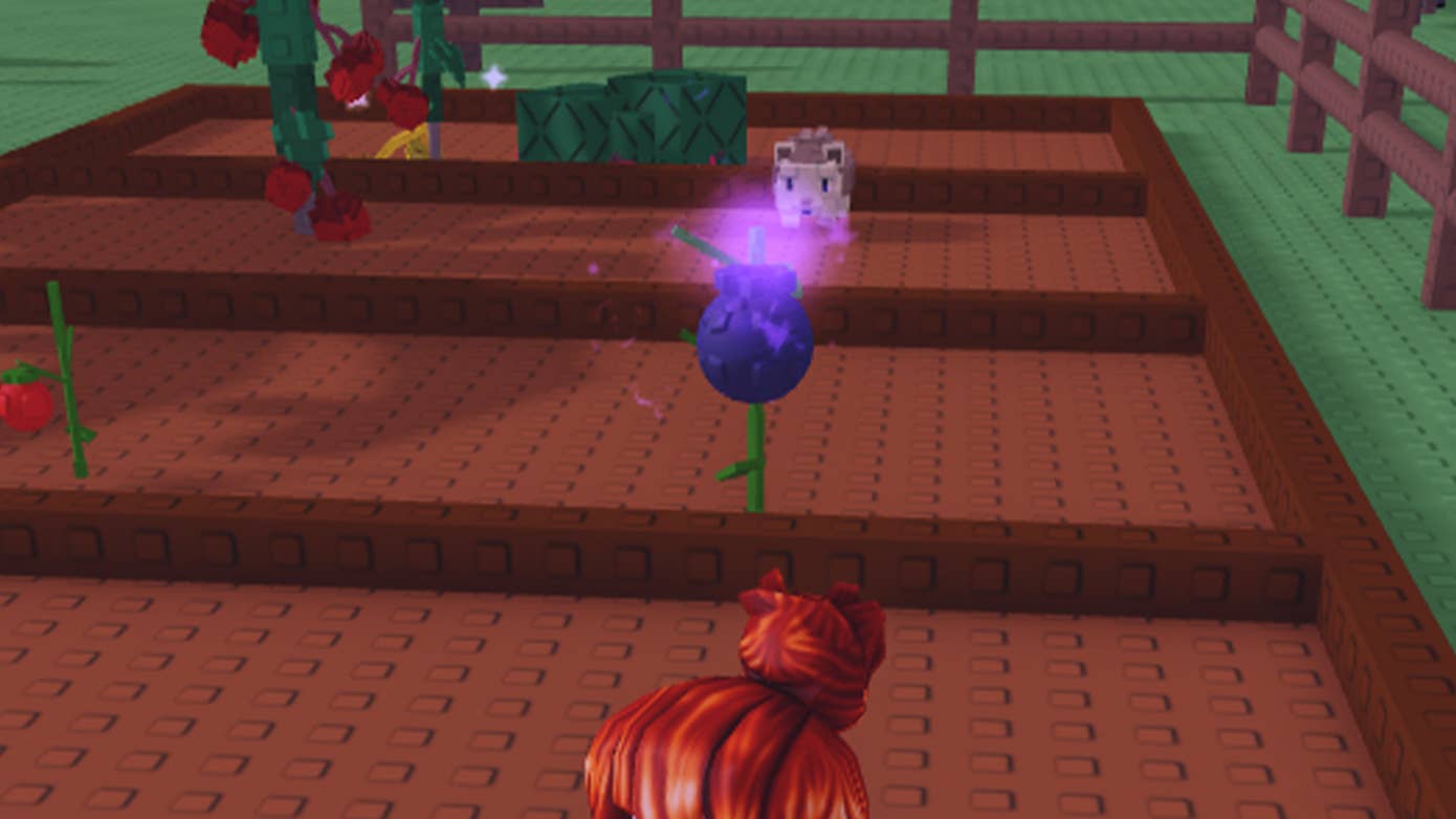 How To Get Tanuki In Grow A Garden Eurogamer How to get tanuki in grow a garden eurogamer