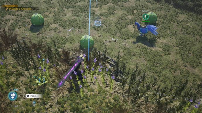 Cloud aiming a Chocobo bait in from of the Nibelheim Chocobo in Final Fantasy 7 Rebirth.