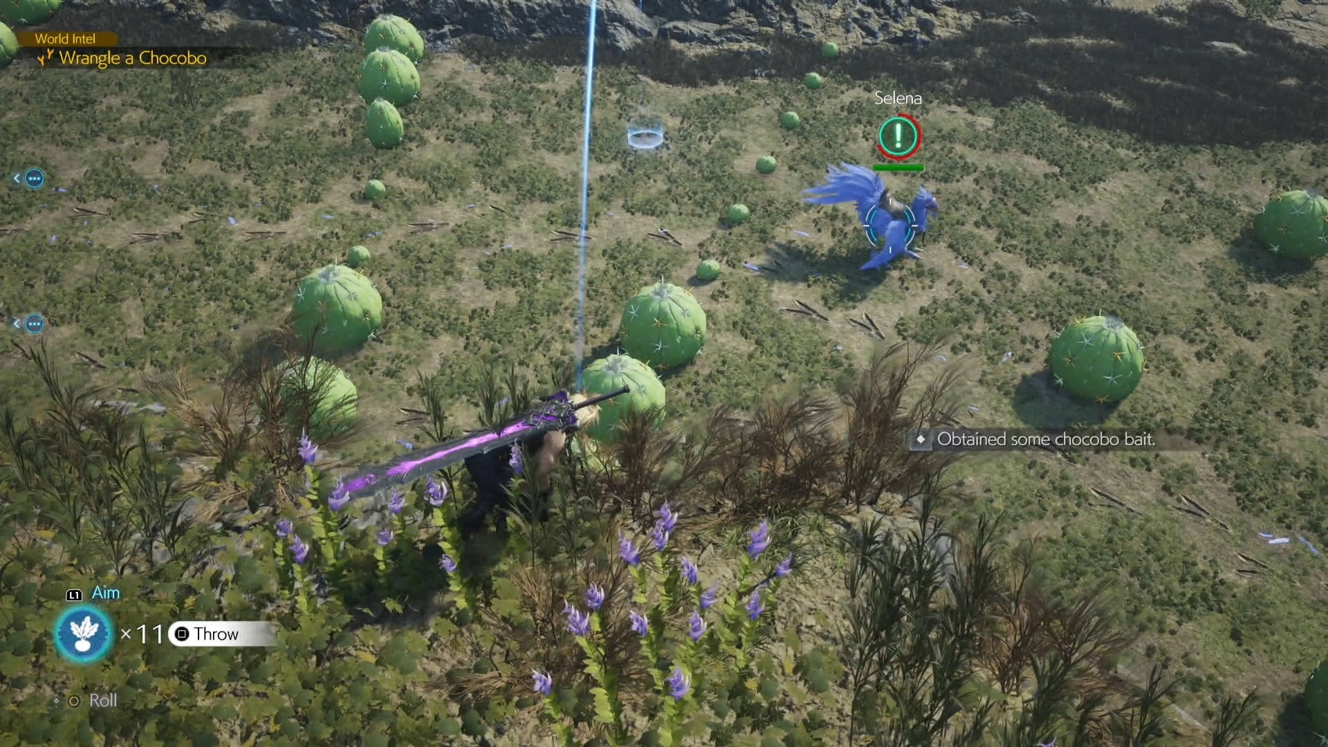 Cloud aiming a Chocobo bait in from of the Nibelheim Chocobo in Final Fantasy 7 Rebirth.