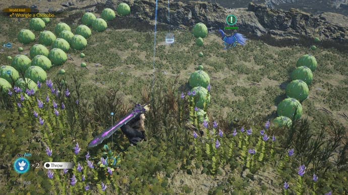 Cloud aiming a Chocobo bait in from of the Nibelheim Chocobo in Final Fantasy 7 Rebirth.