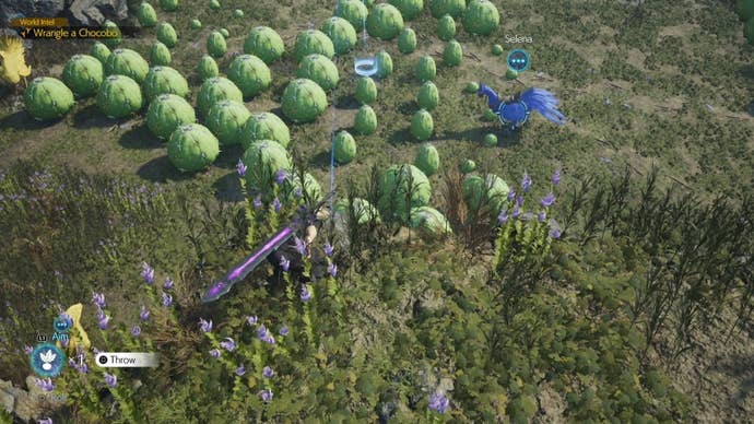 Cloud aiming a Chocobo bait in from of the Nibelheim Chocobo in Final Fantasy 7 Rebirth.