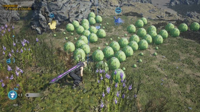 Cloud aiming a Chocobo bait in from of the Nibelheim Chocobo in Final Fantasy 7 Rebirth.