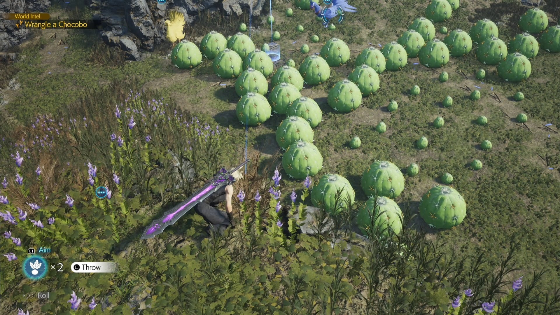 Cloud aiming a Chocobo bait in from of the Nibelheim Chocobo in Final Fantasy 7 Rebirth.