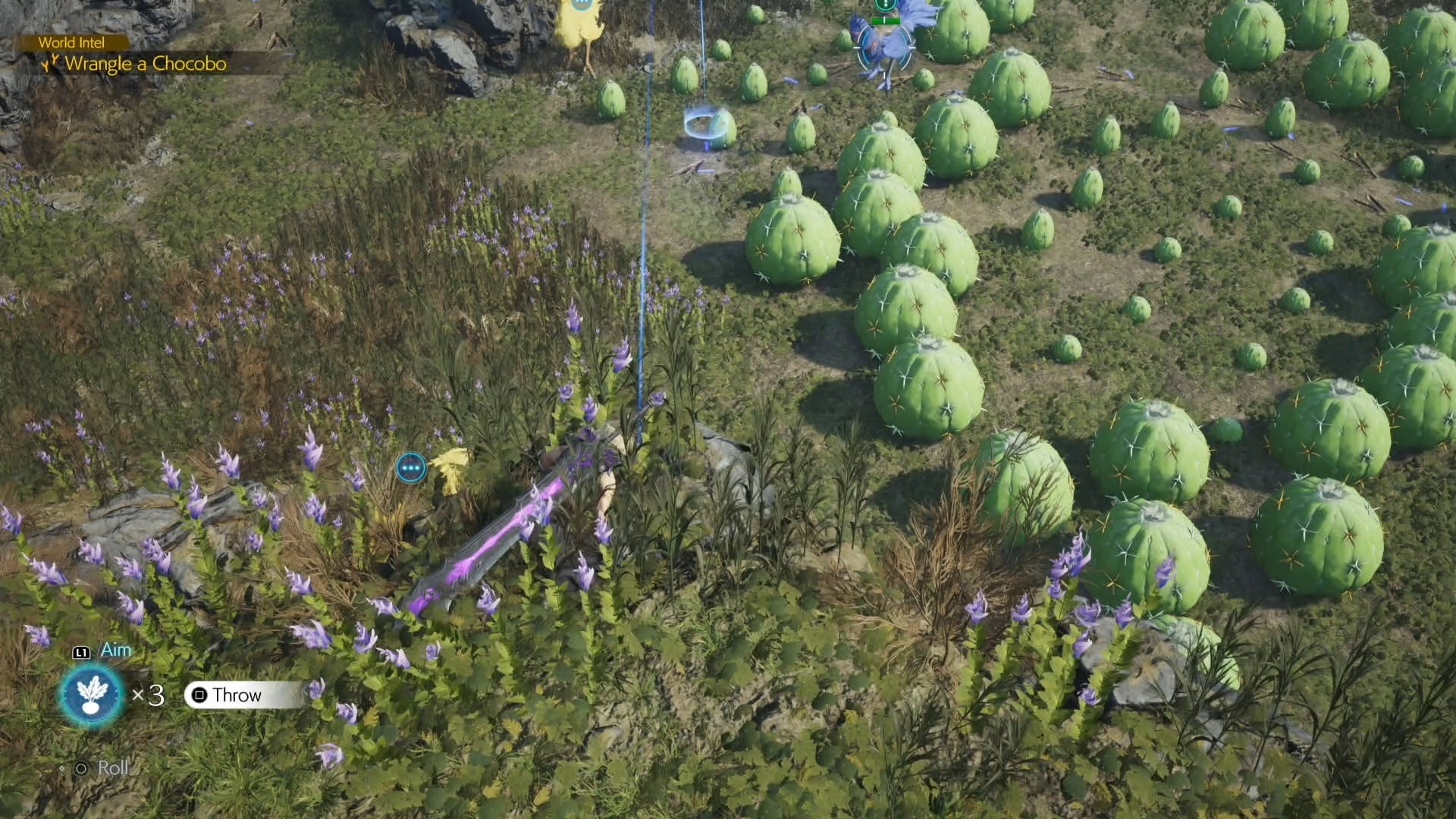 Cloud aiming a Chocobo bait in from of the Nibelheim Chocobo in Final Fantasy 7 Rebirth.