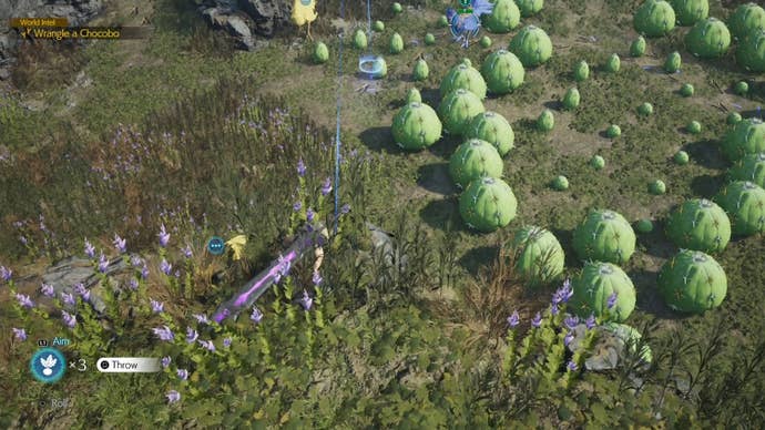 Cloud aiming a Chocobo bait in from of the Nibelheim Chocobo in Final Fantasy 7 Rebirth.