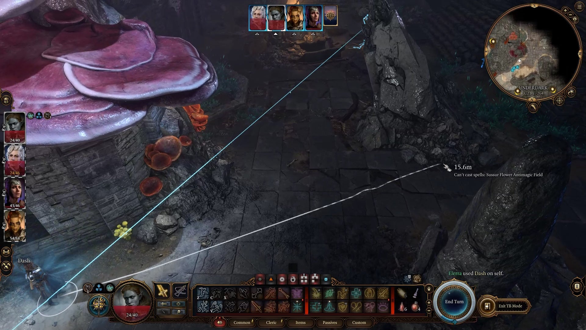 White movement line showing the potential route of a character hiding behind a large rock on the right with a slightly pink large mushroom protruding on the left.