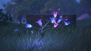 Close-up of Blastpollen in Infinity Nikki.