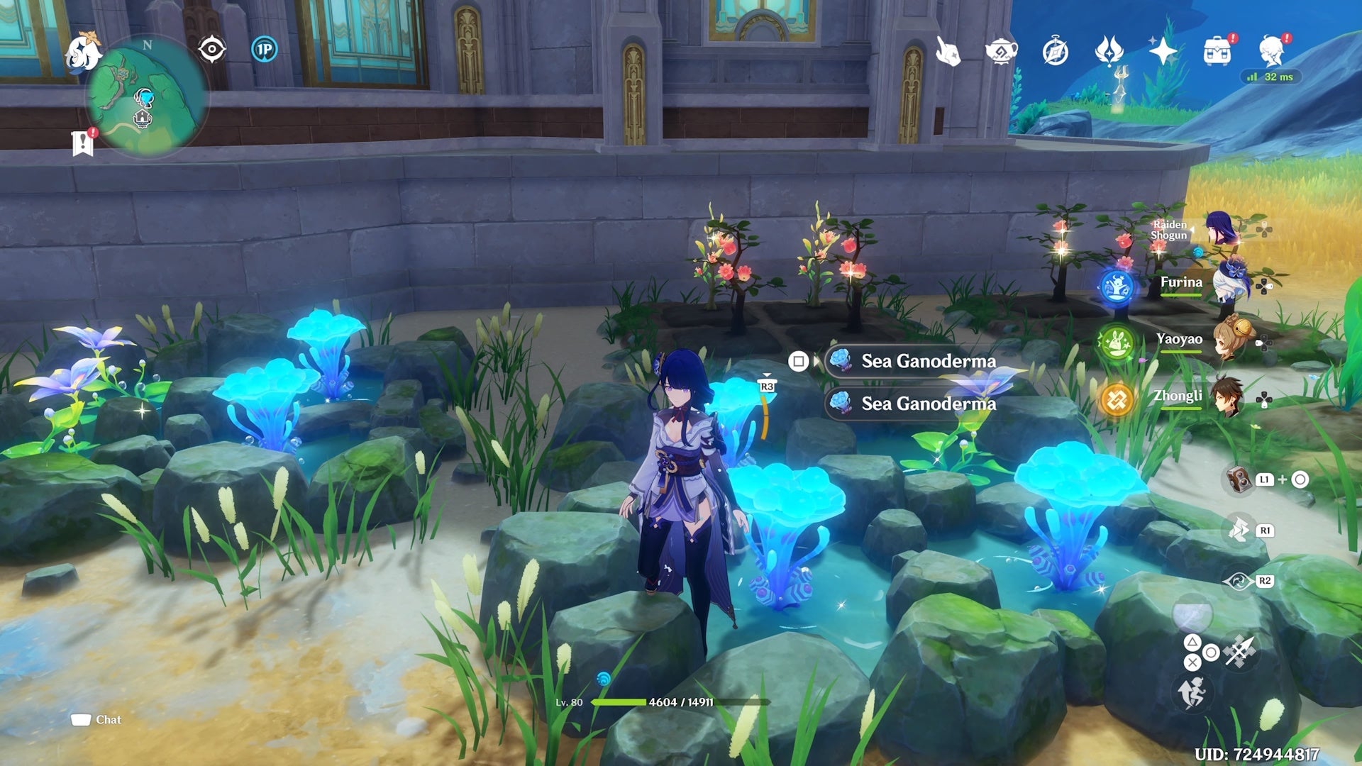 raiden shogun standing beside a patch of sea gondomera in a fontaine style serenitea pot