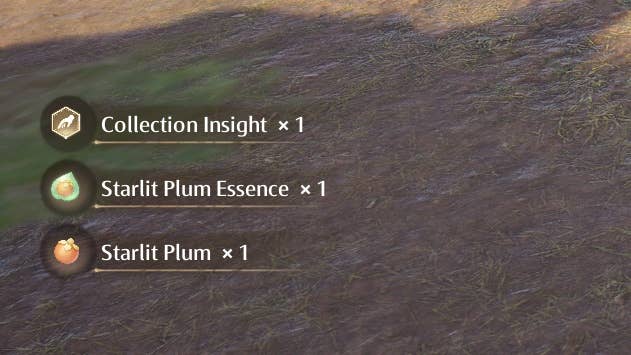 Cropped view of text showing that Collection Insight, Starlit Plum Essence, and Starlit Plum have been obtained in Infinity Nikki.