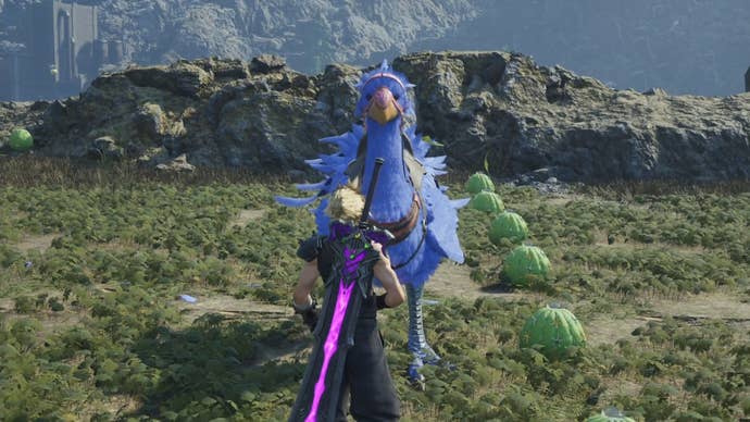 Cloud looking up at Selena, the blue Nibelheim Chocobo in Final Fantasy 7 Rebirth.