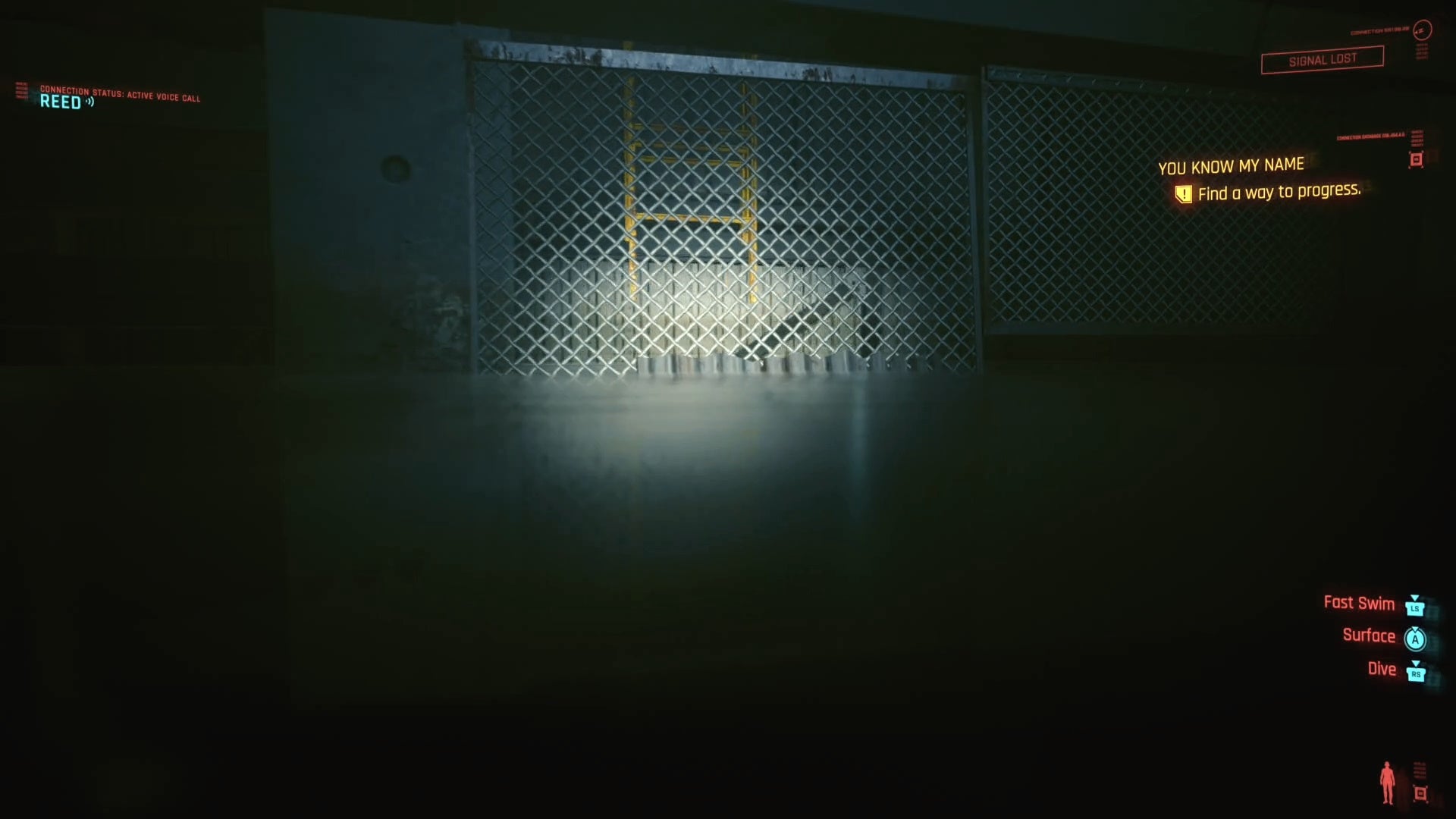 first person view of swimming above water and looking at a ladder behind a grid fence