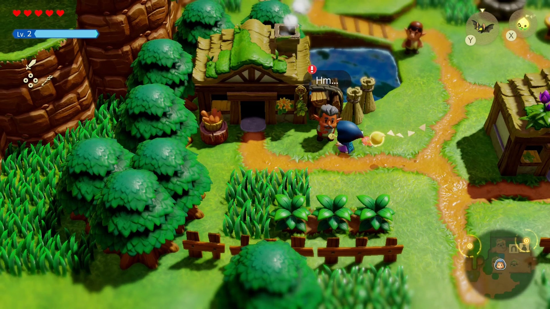 Zelda standing next to an elderly man in a grassy village in Zelda Echoes of Wisdom.