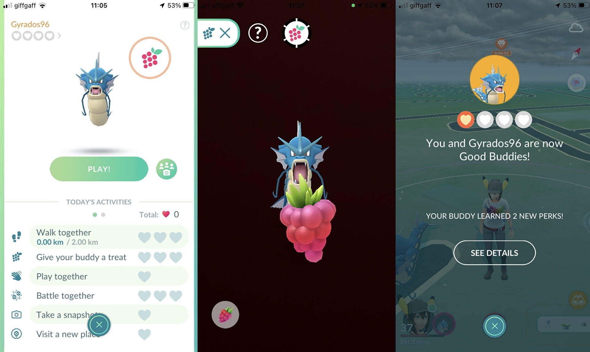 Pokémon Go - Bayas: para qué sirven Baya Pinia, Baya Frambu, Baya