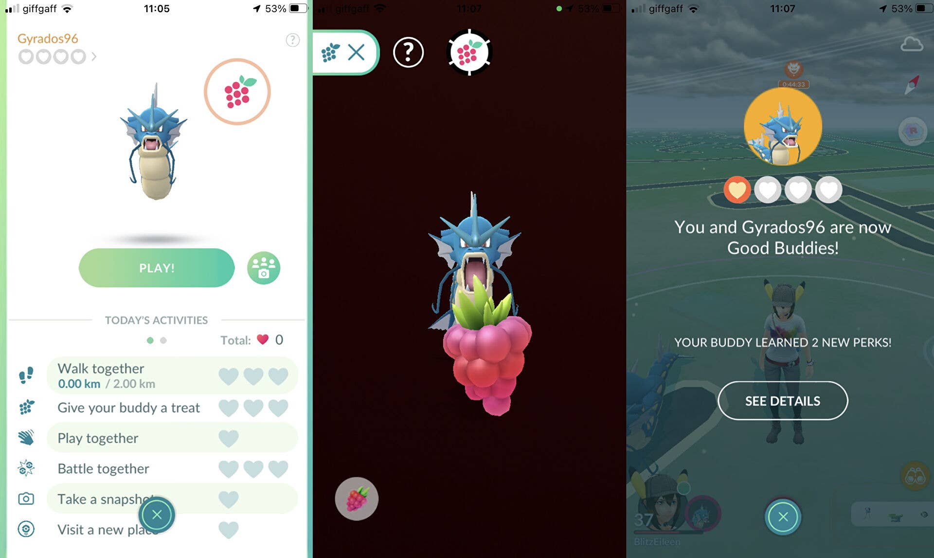 Pokémon Go - Bayas: para qué sirven Baya Pinia, Baya Frambu, Baya