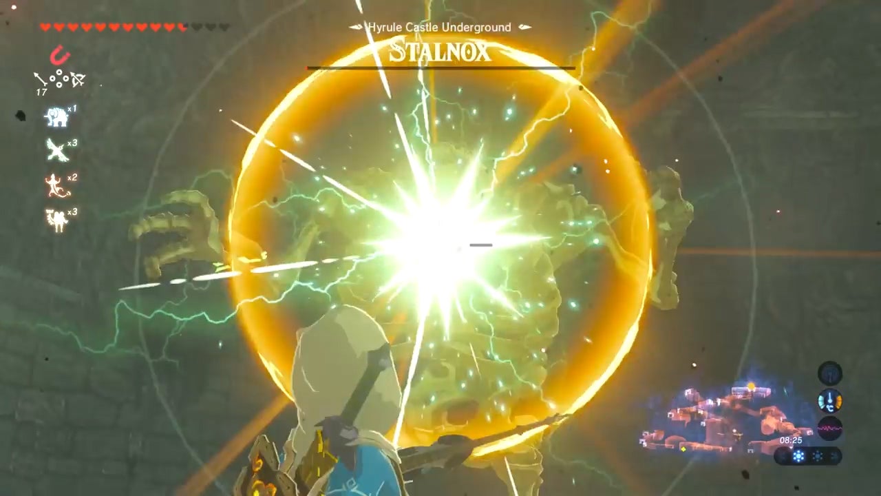 Breath of the Wild Hyrule Castle Walkthrough - 6