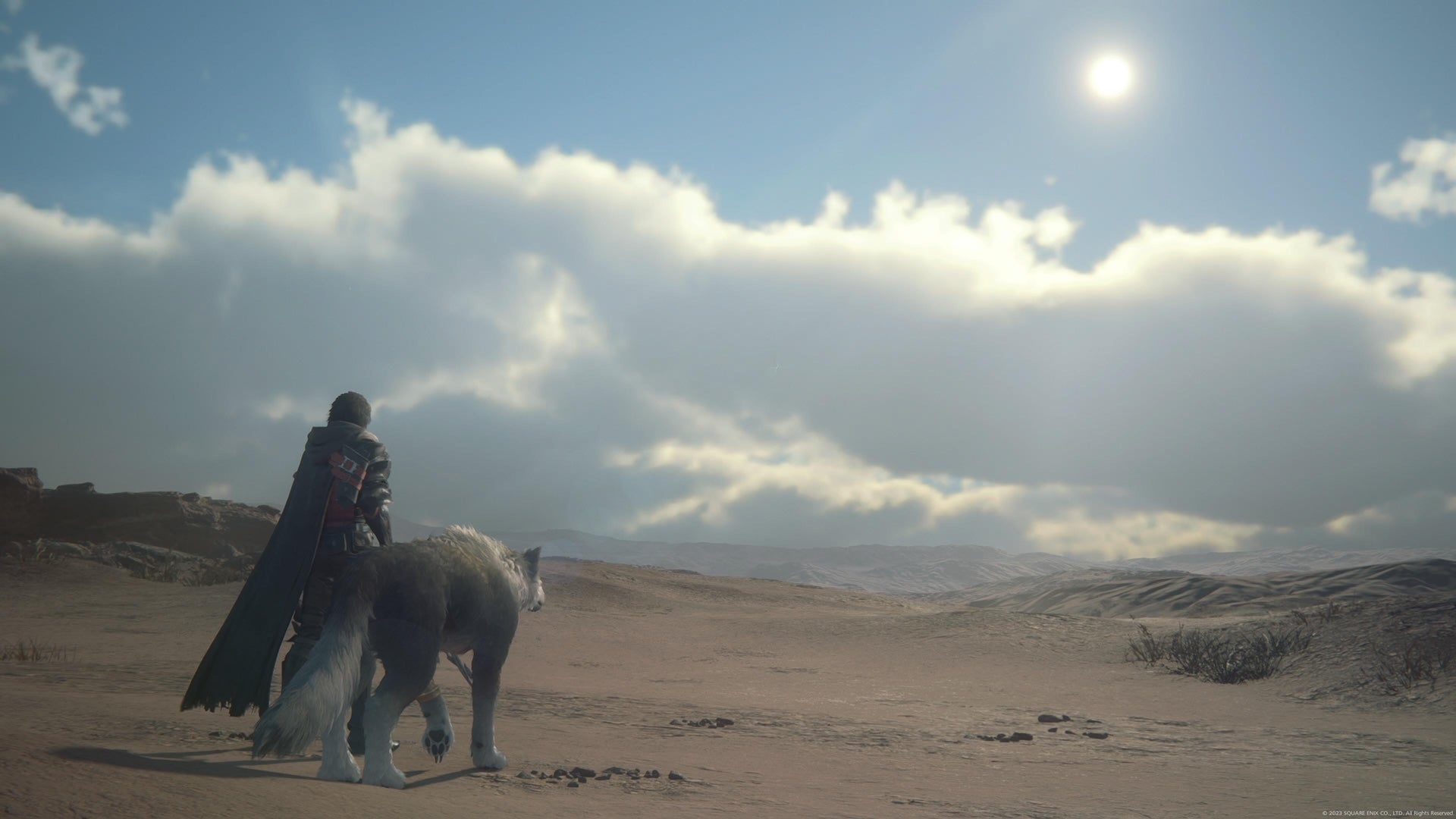 Clive and Torgal look over a desert