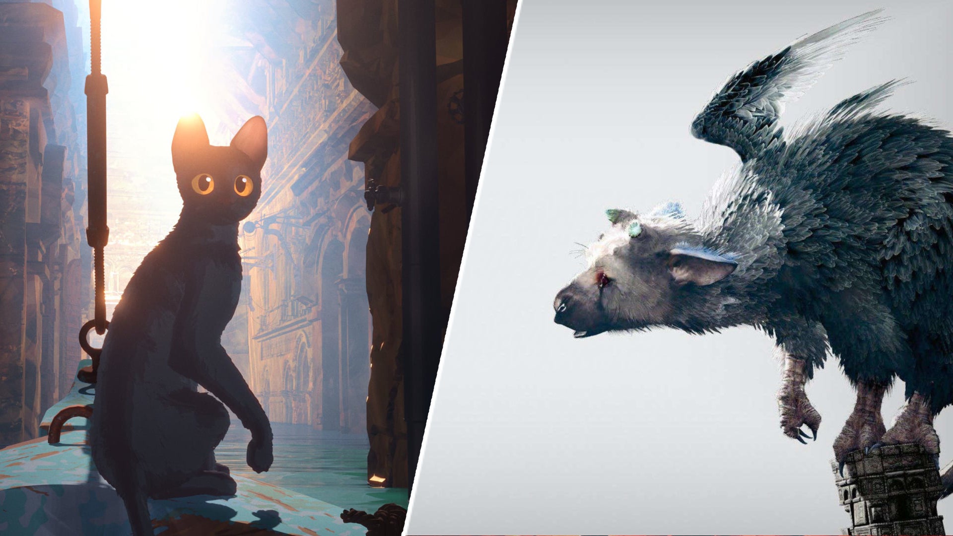The cat from Flow, haloed by a sunbeam, sits looking to camera on the left. The Last Guardian's titular creature looks curious and timid on the right. - 1